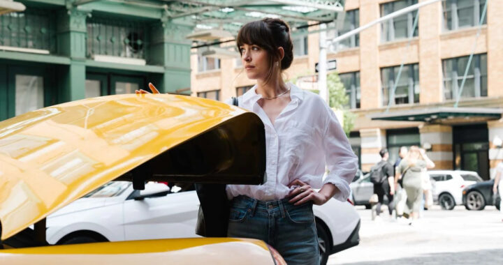 Amores Materialistas